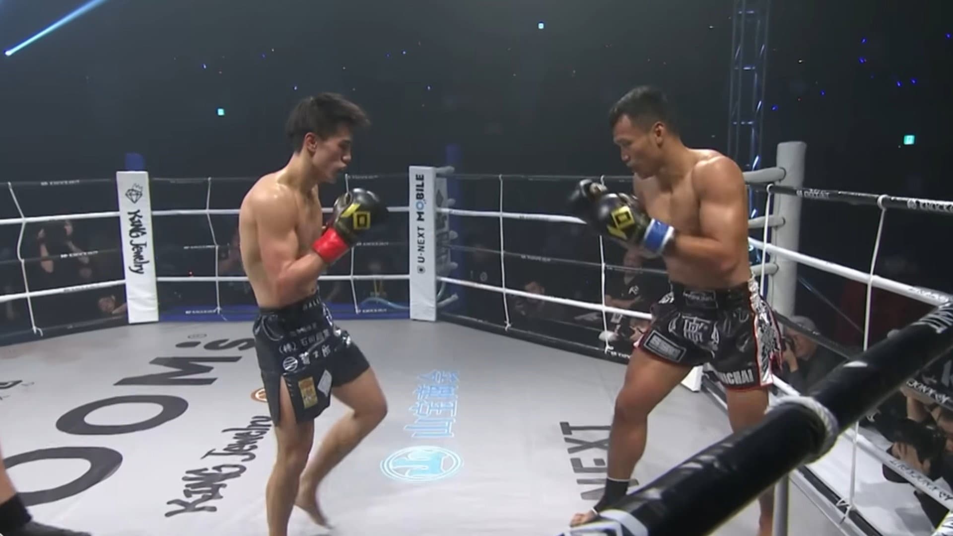KNOCK OUT 60 K.O CLIMAX 2025