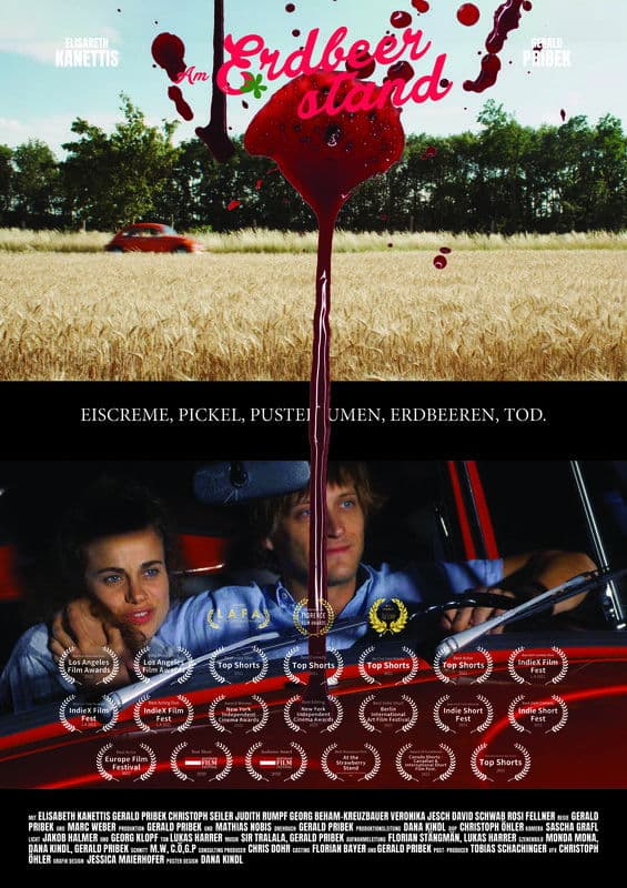 At the Strawberry Stand