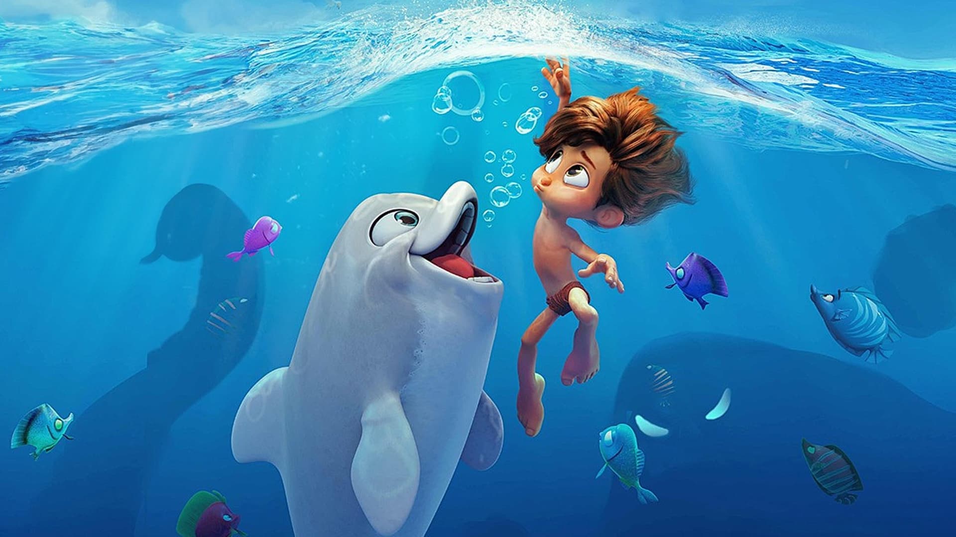 Dolphin Boy Collection