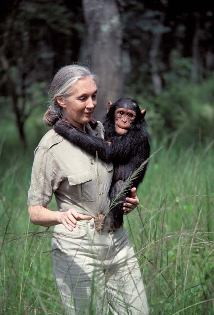 Jane Goodall: An Inside Look