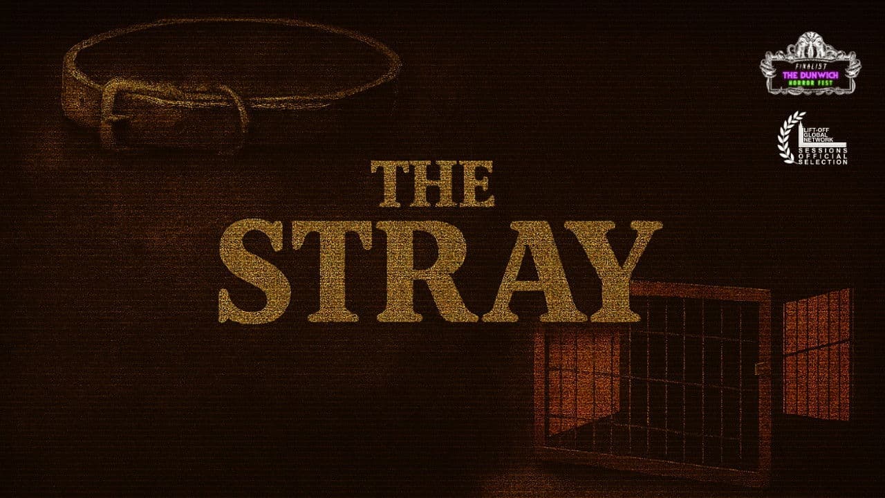 The Stray