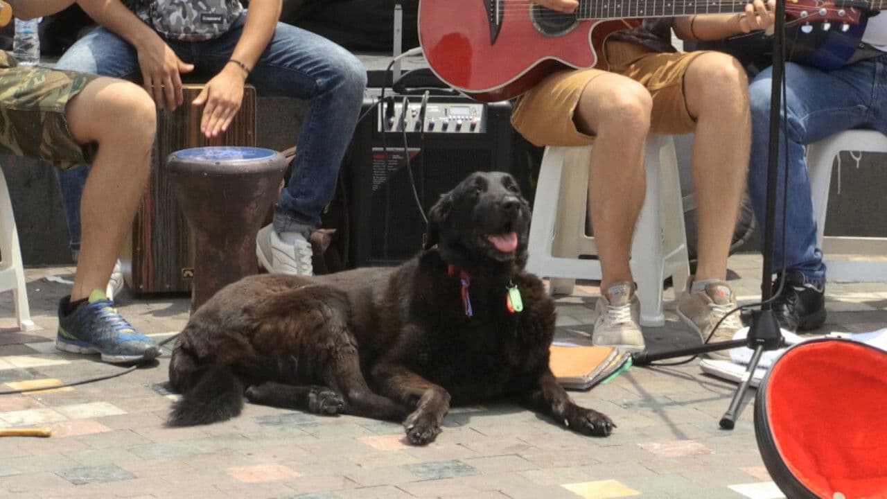 The Unknown Athenians