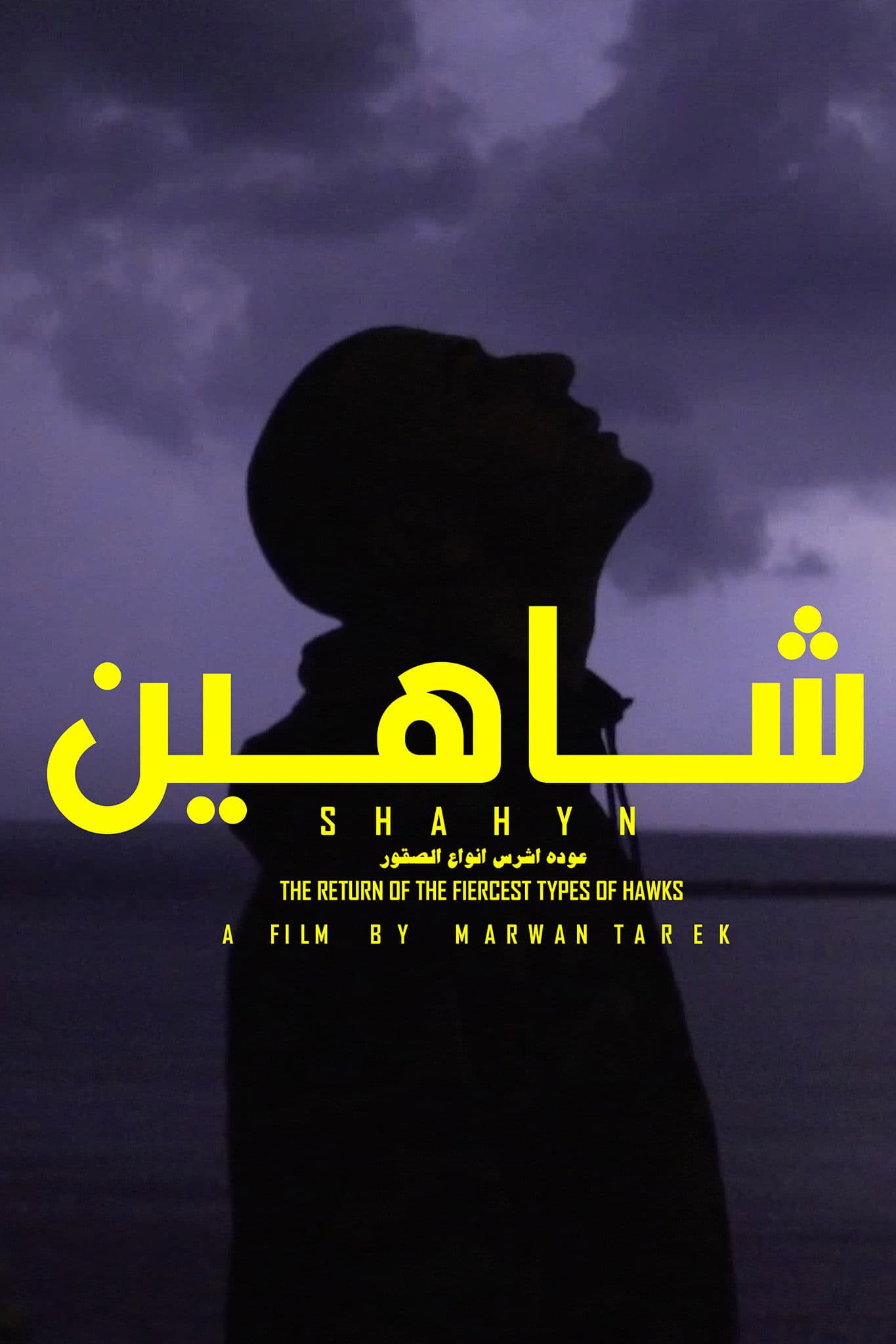 SHAHYN - THE RETURN OF THE FIERCEST TYPES OF HAWKS