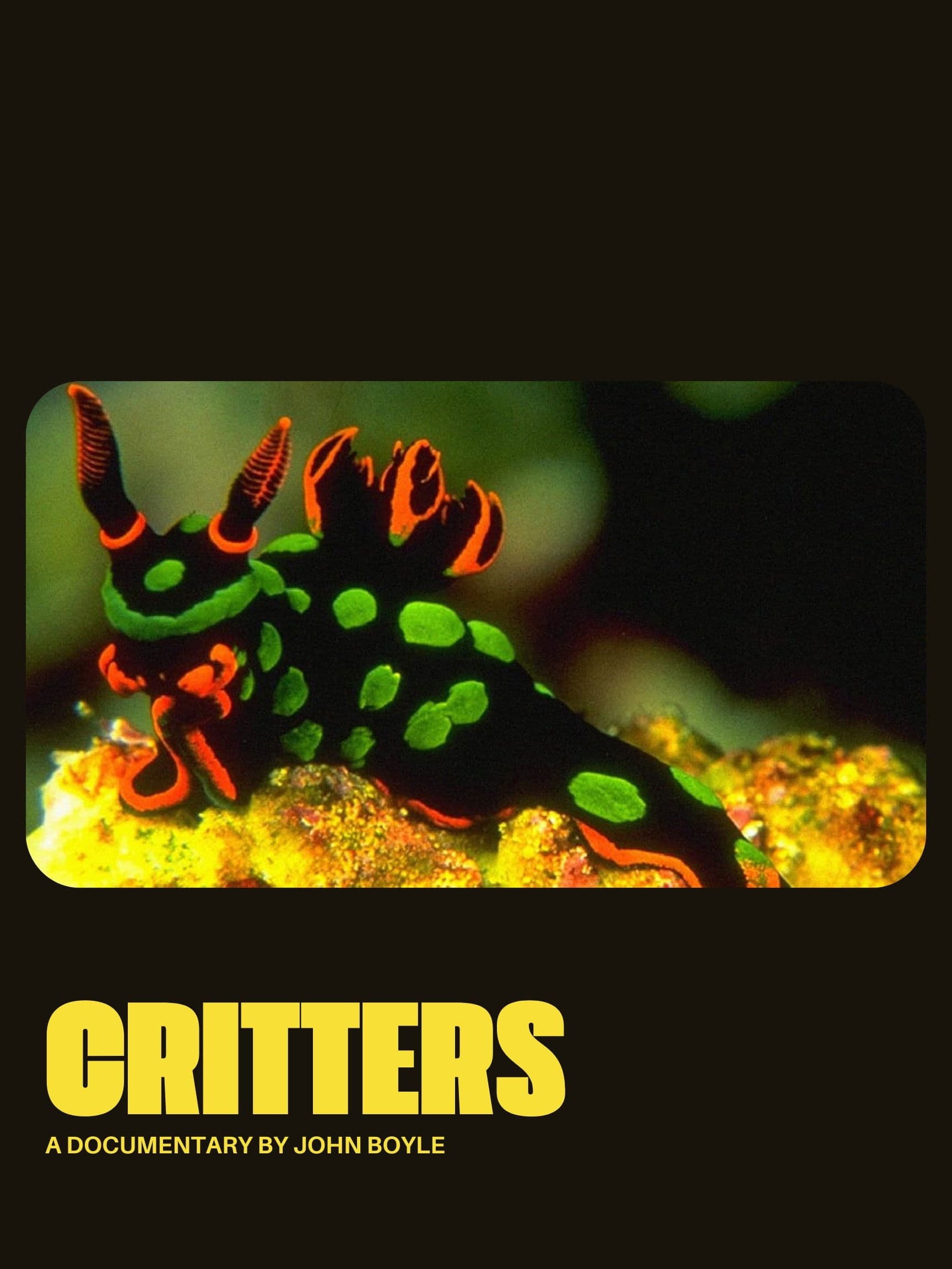 Critters