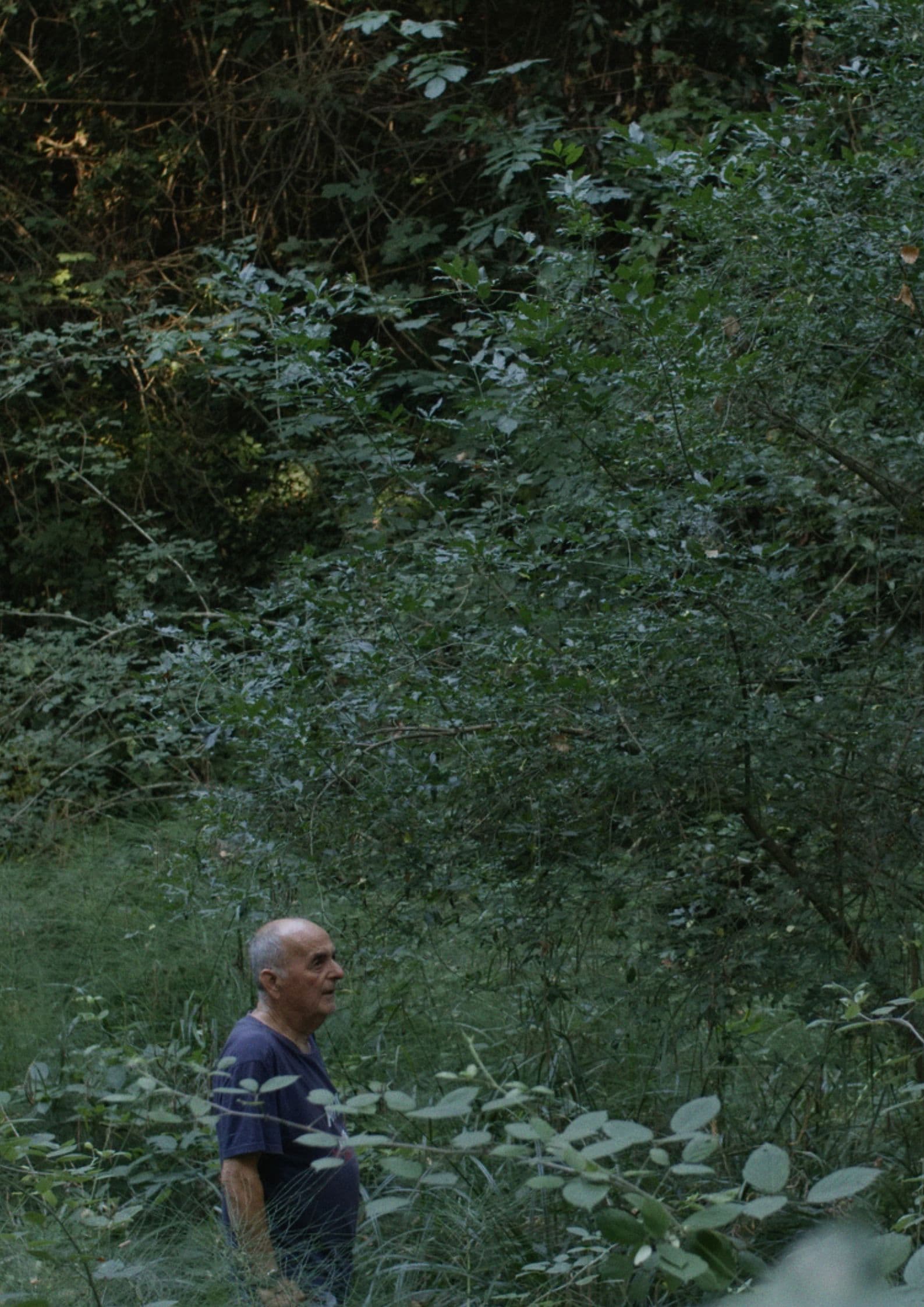 At the Still Point of the Turning World