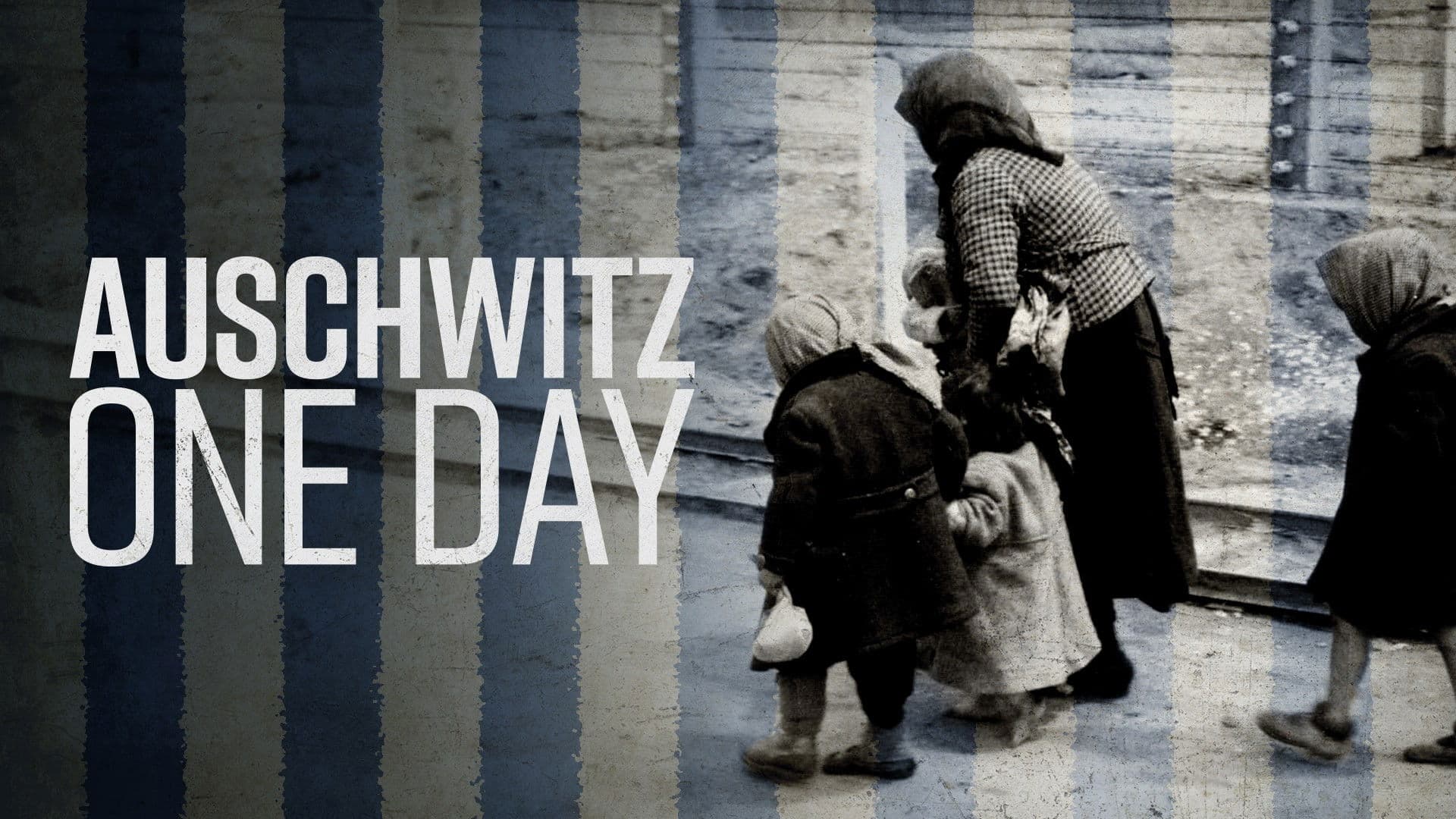 Auschwitz - One Day