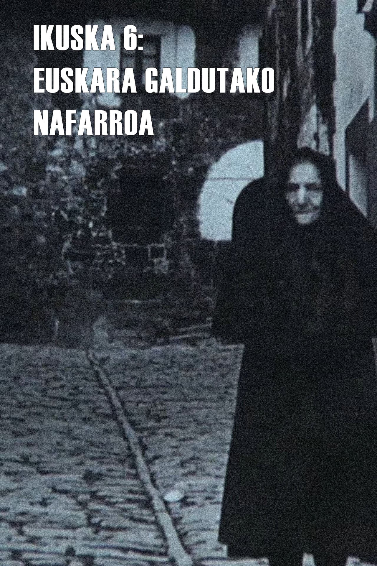 Ikuska 6: Euskara galdutako Nafarroa
