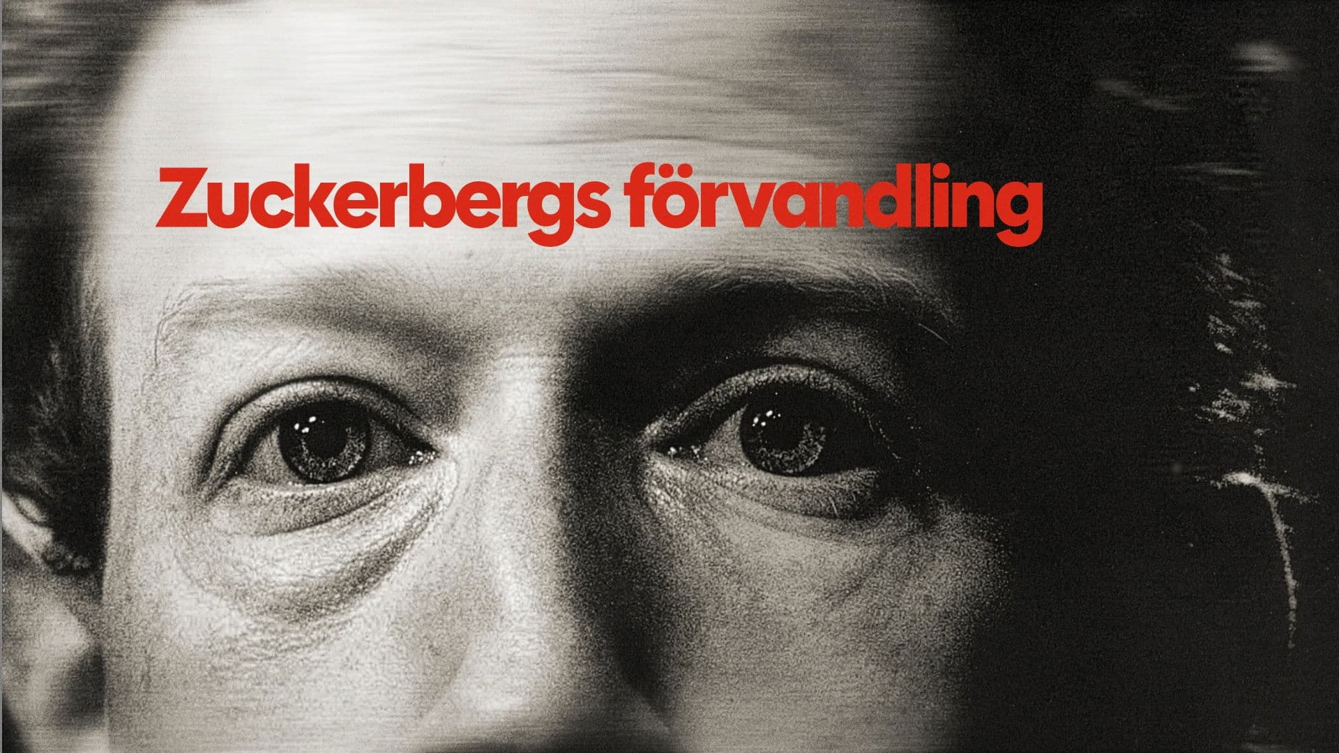 Zuckerberg, From Geek to Guru