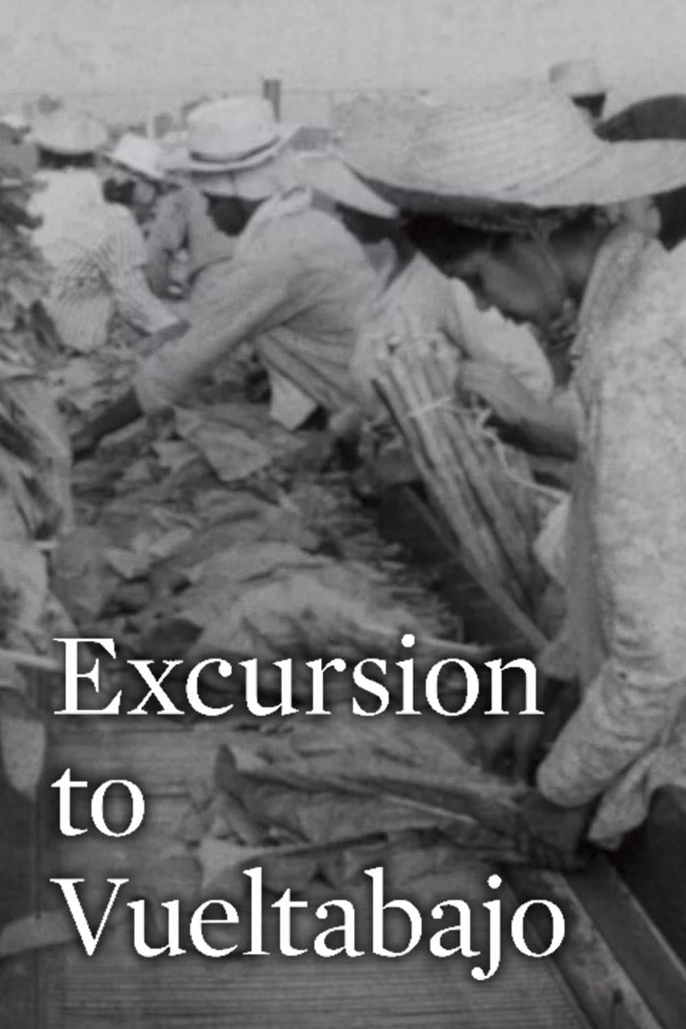 Excursion to Vueltabajo