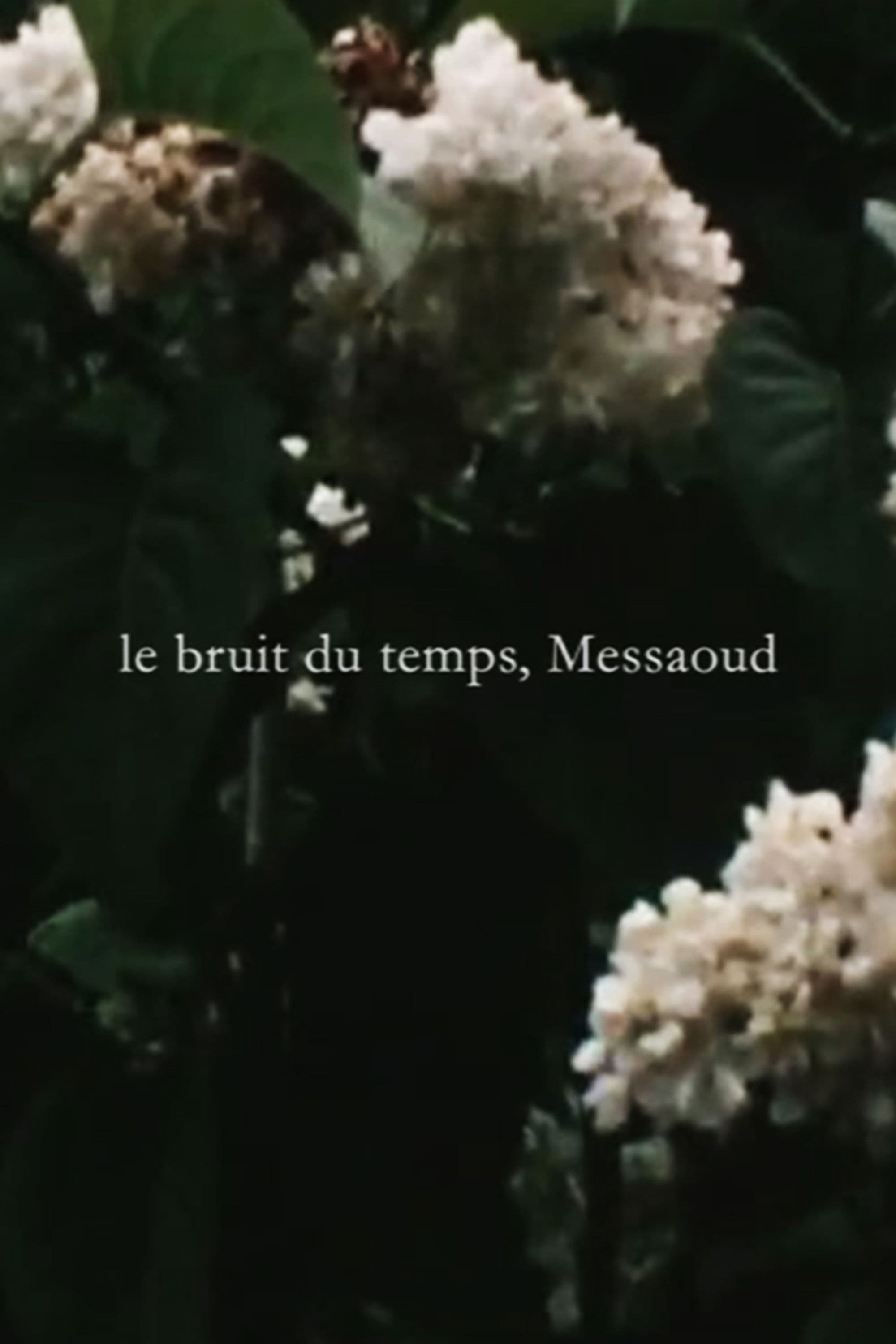 Le bruit du temps, Messaoud