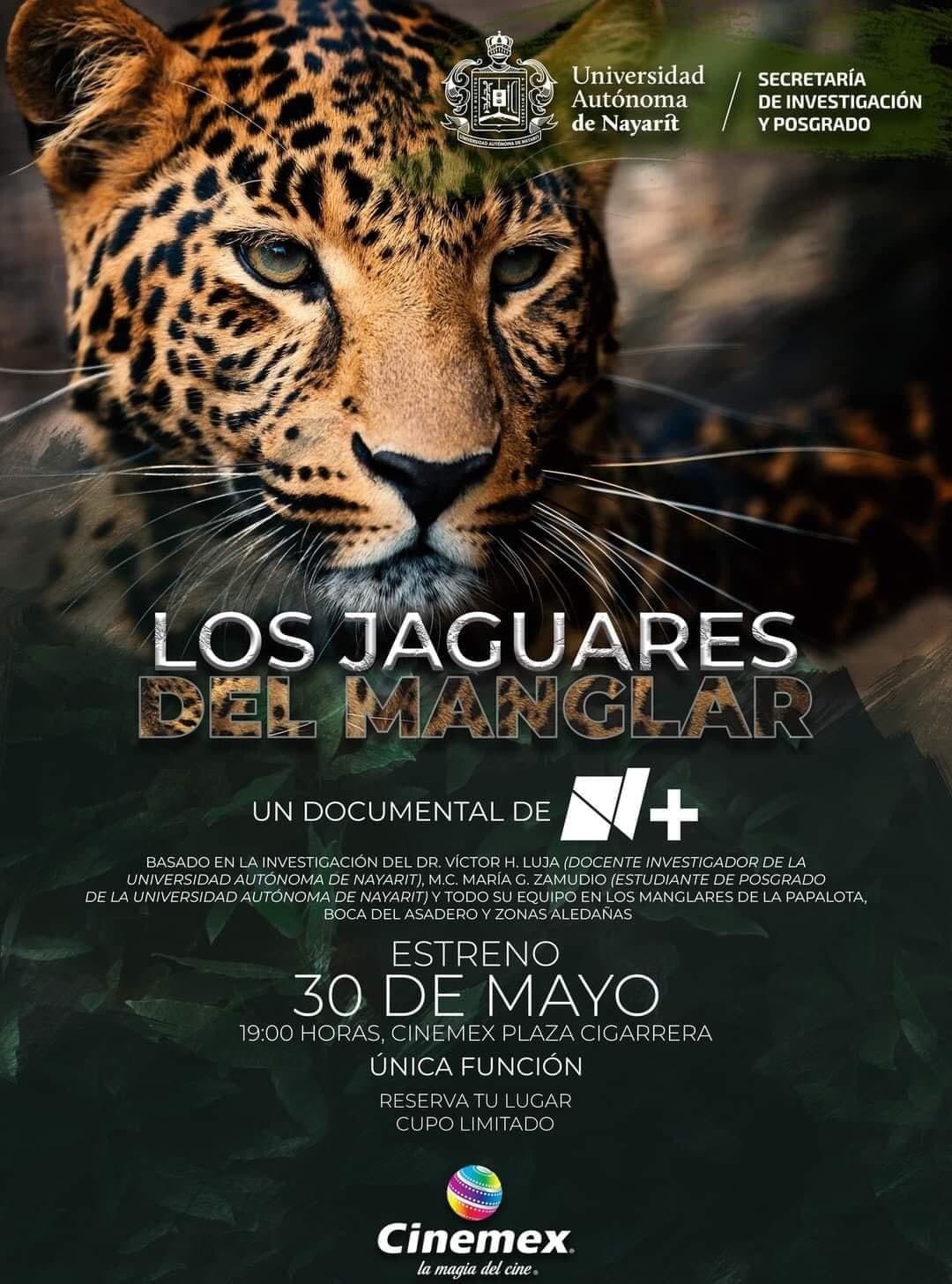 Los Jaguares del Manglar