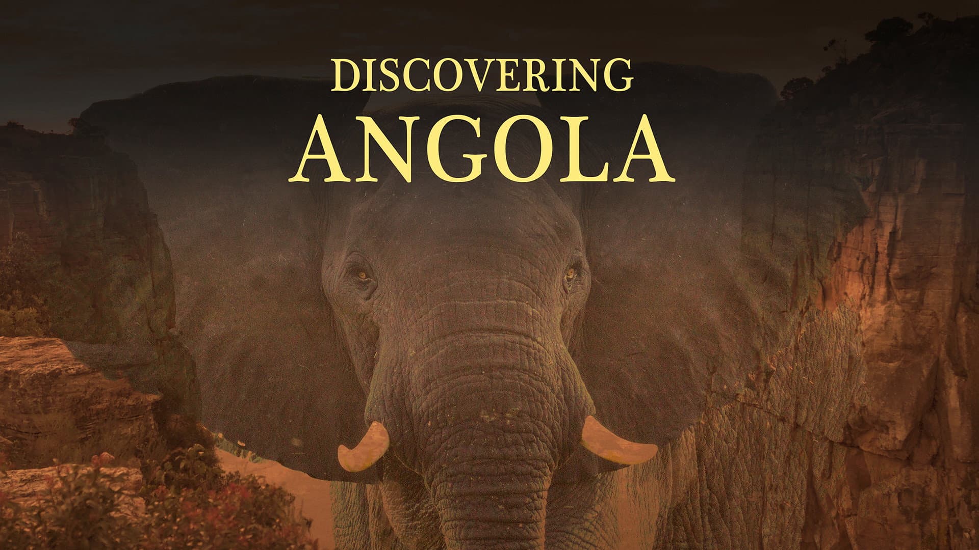 Discovering Angolaang