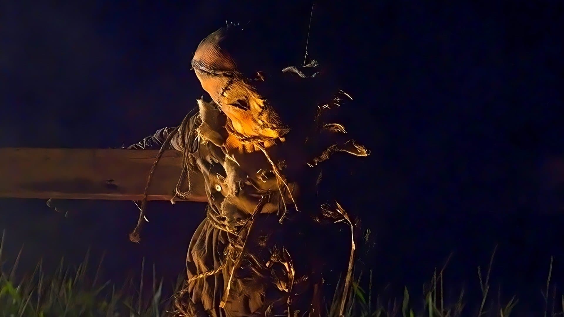 Scarecrow Collection