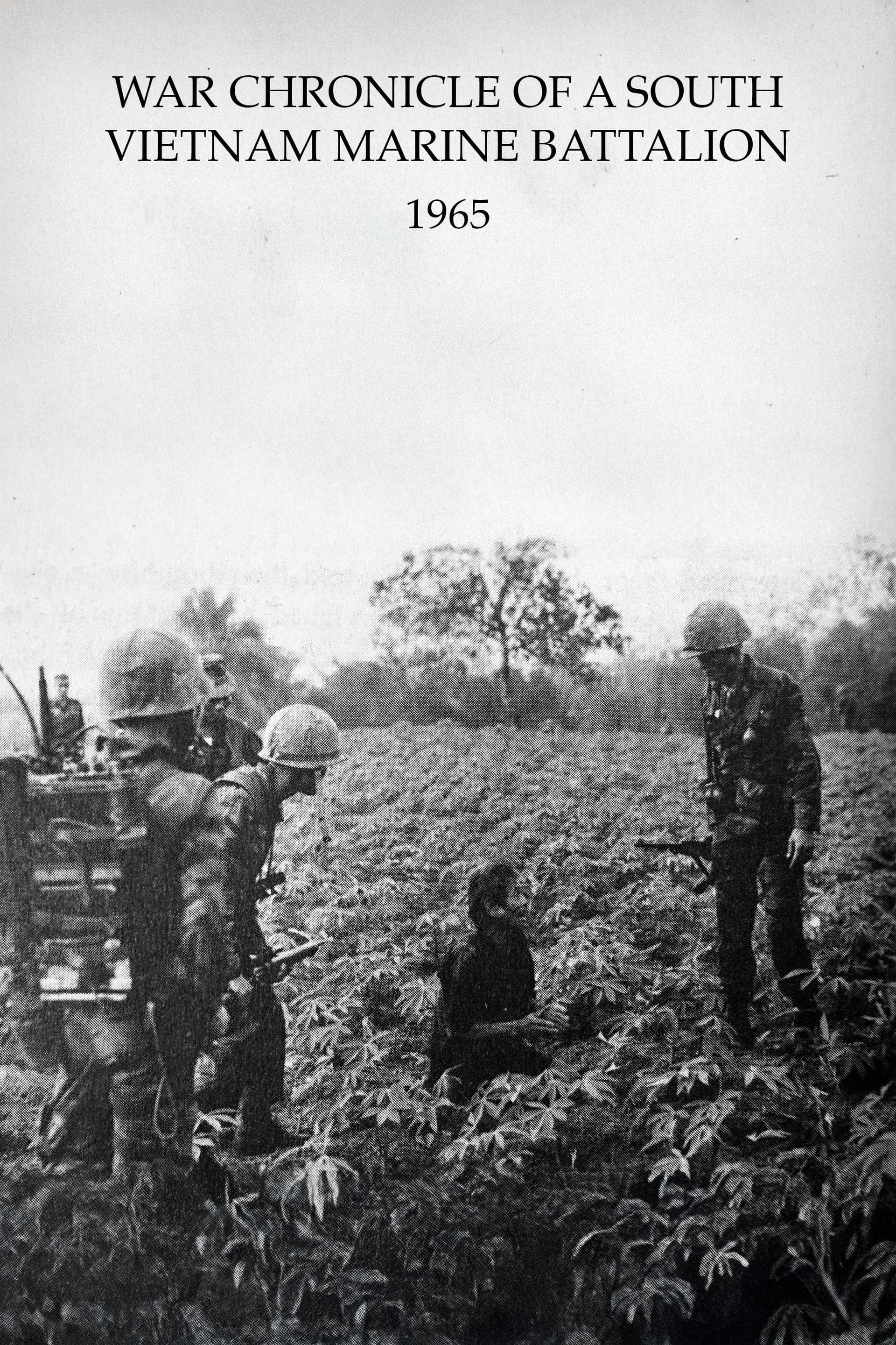 War Chronicle of a South Vietnam Marine Battalion