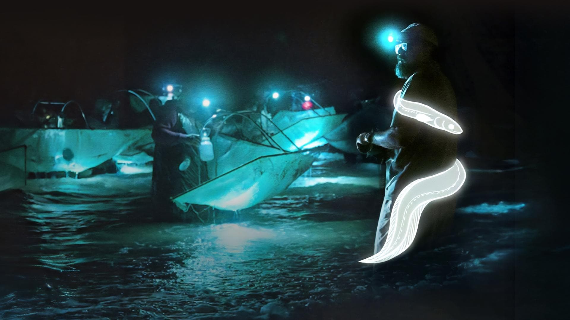 Million Dollar Babies: The Big Business Behind Eel Trafficking