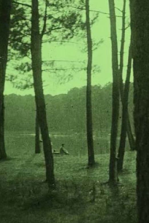 Biarritz y sus alrededores