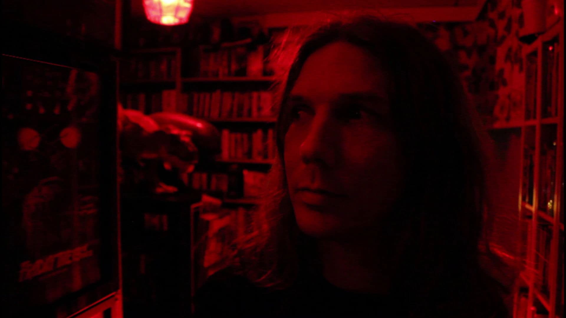 The Haunted Movie Collection Collection