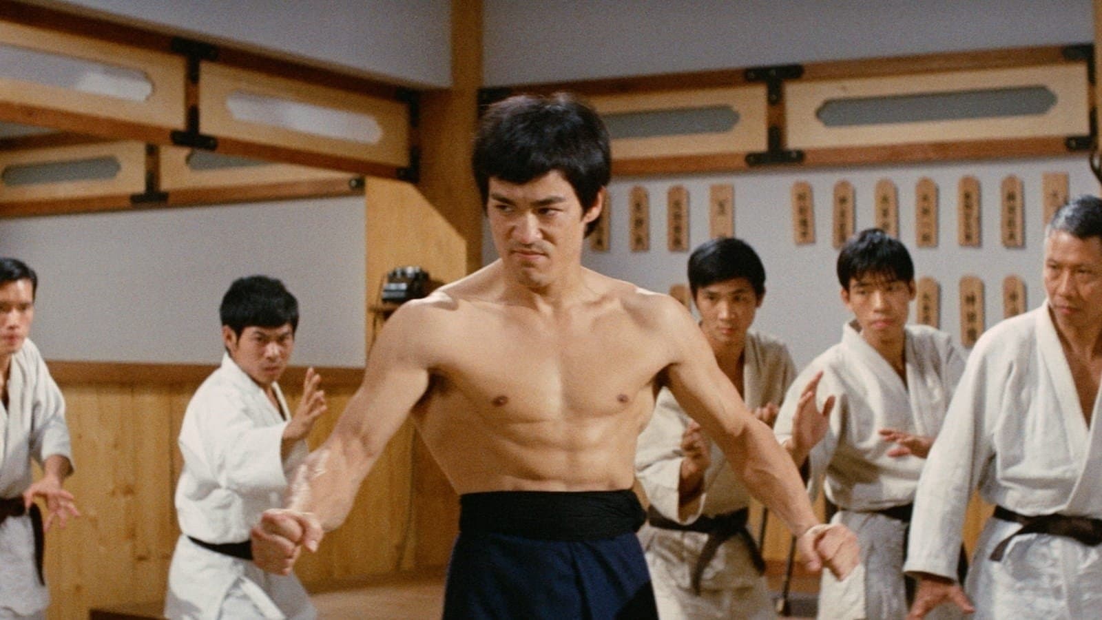 Fist of Fury Collection