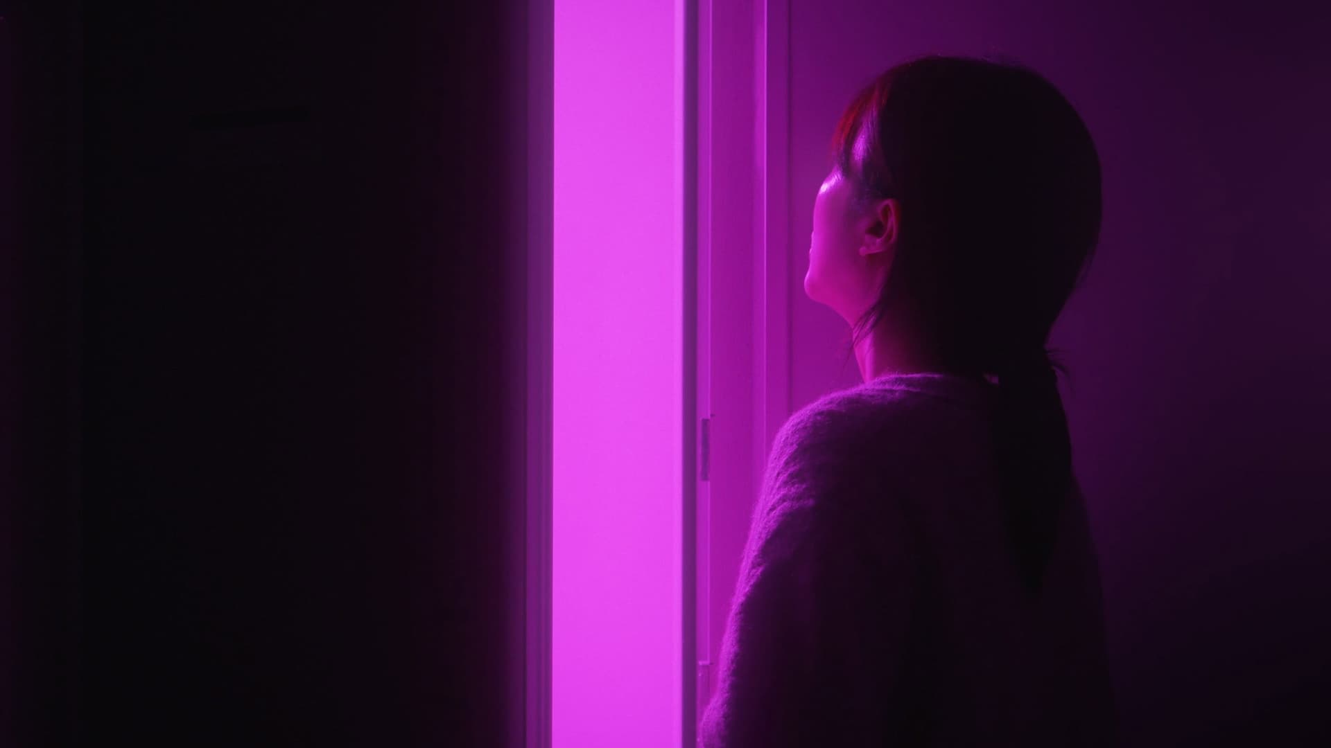 Purple Swallow