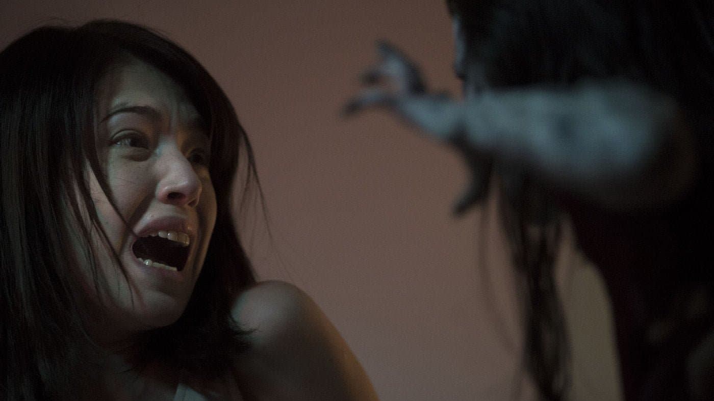 The Tag-Along Collection