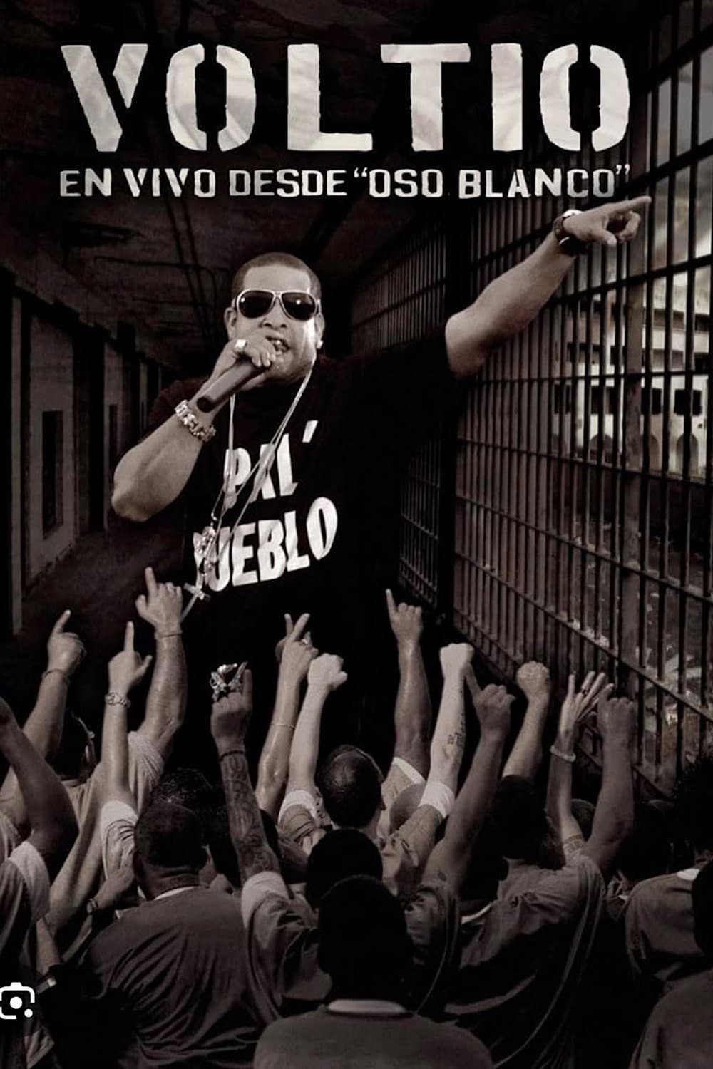 Voltio: En vivo desde ‘Oso Blanco’