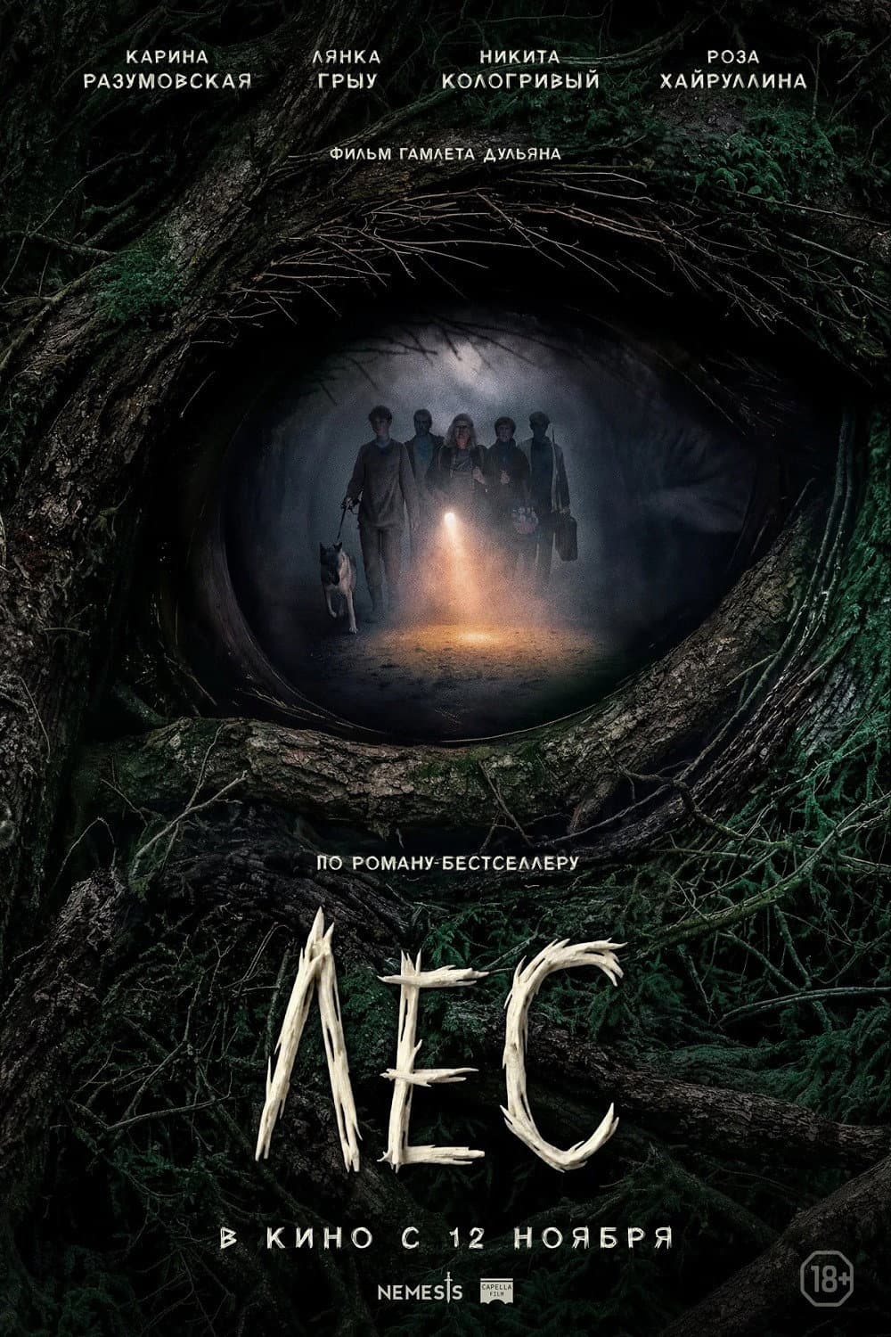 Forest