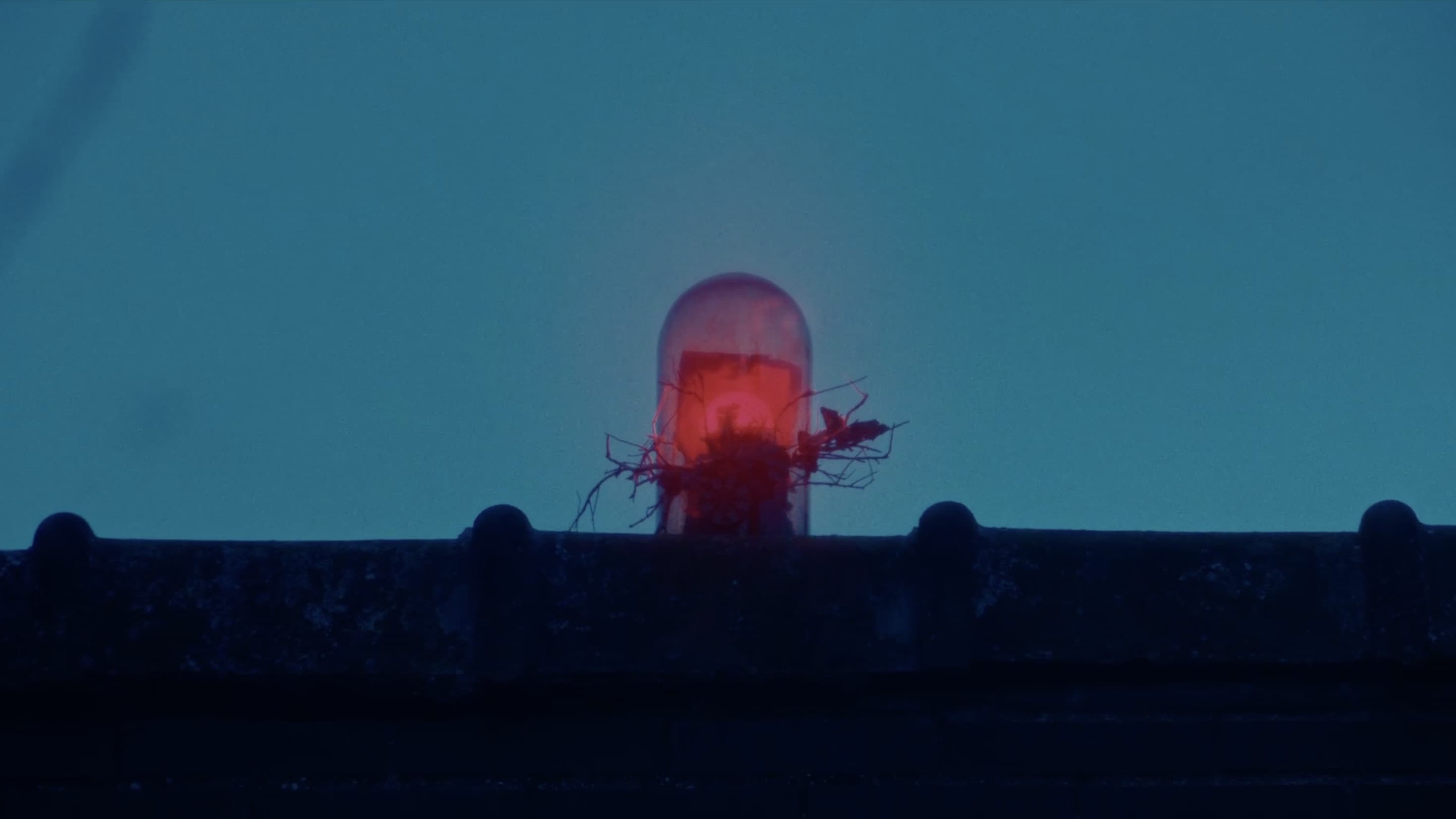 La casa de los monstruos