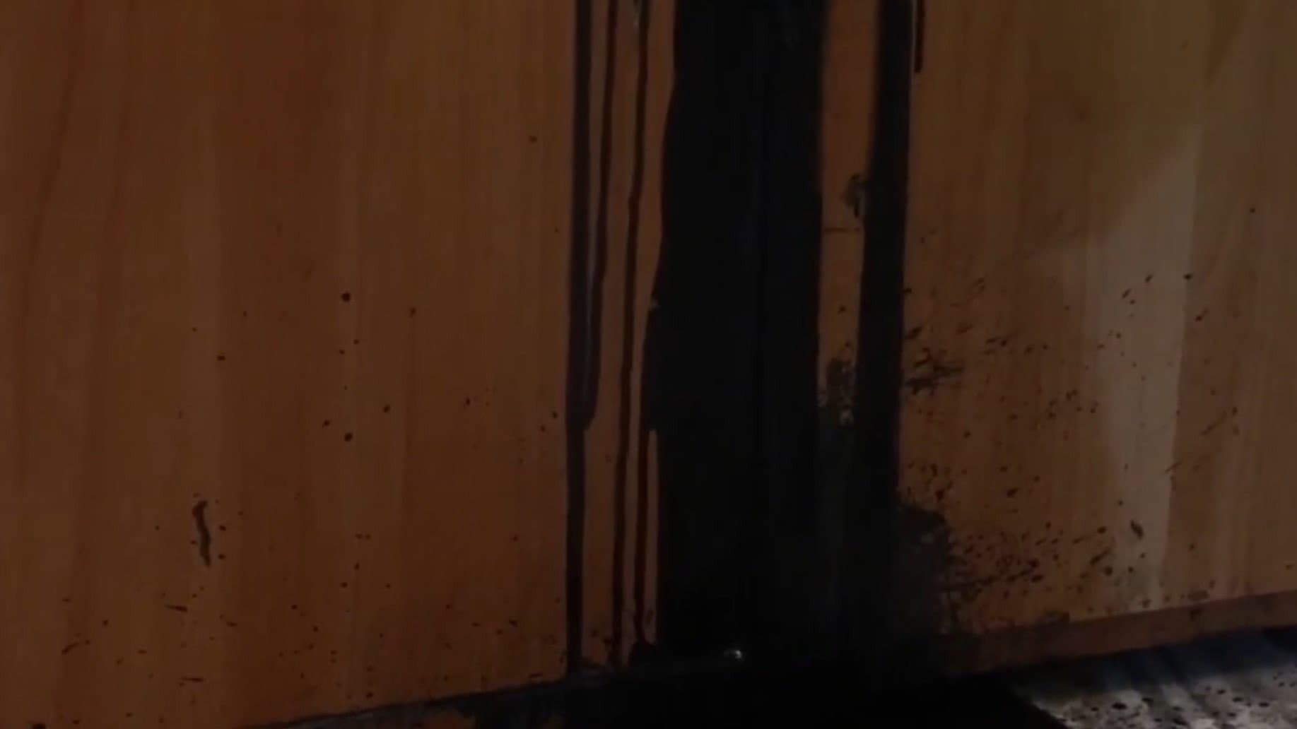 TAR