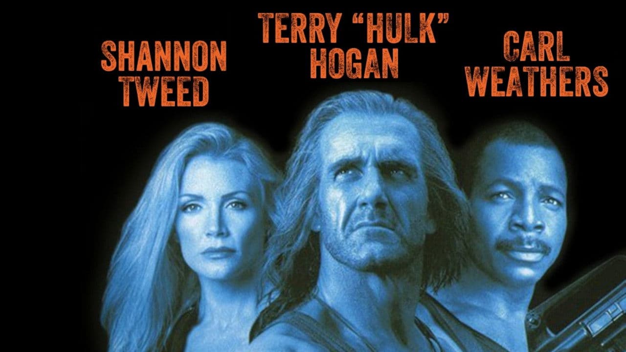 Shadow Warriors Collection