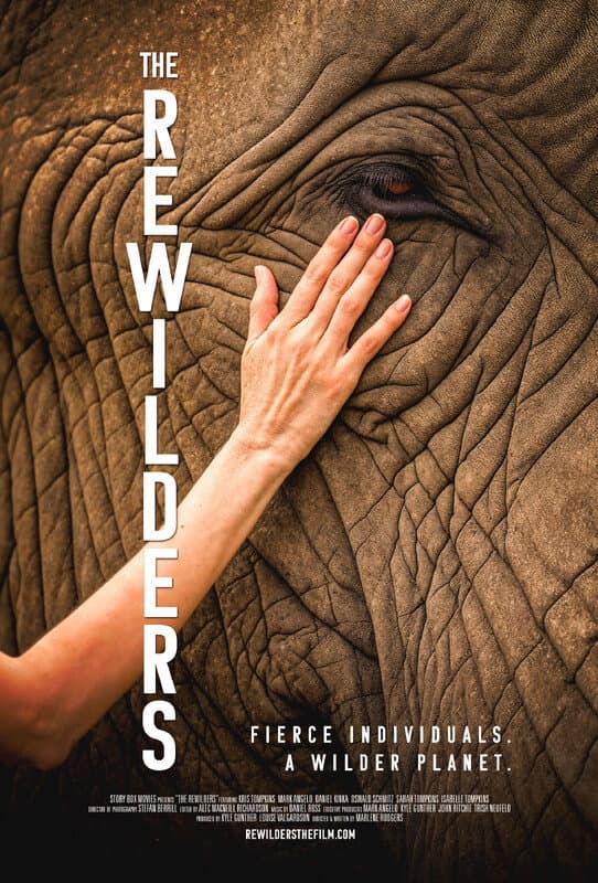 The Rewilders