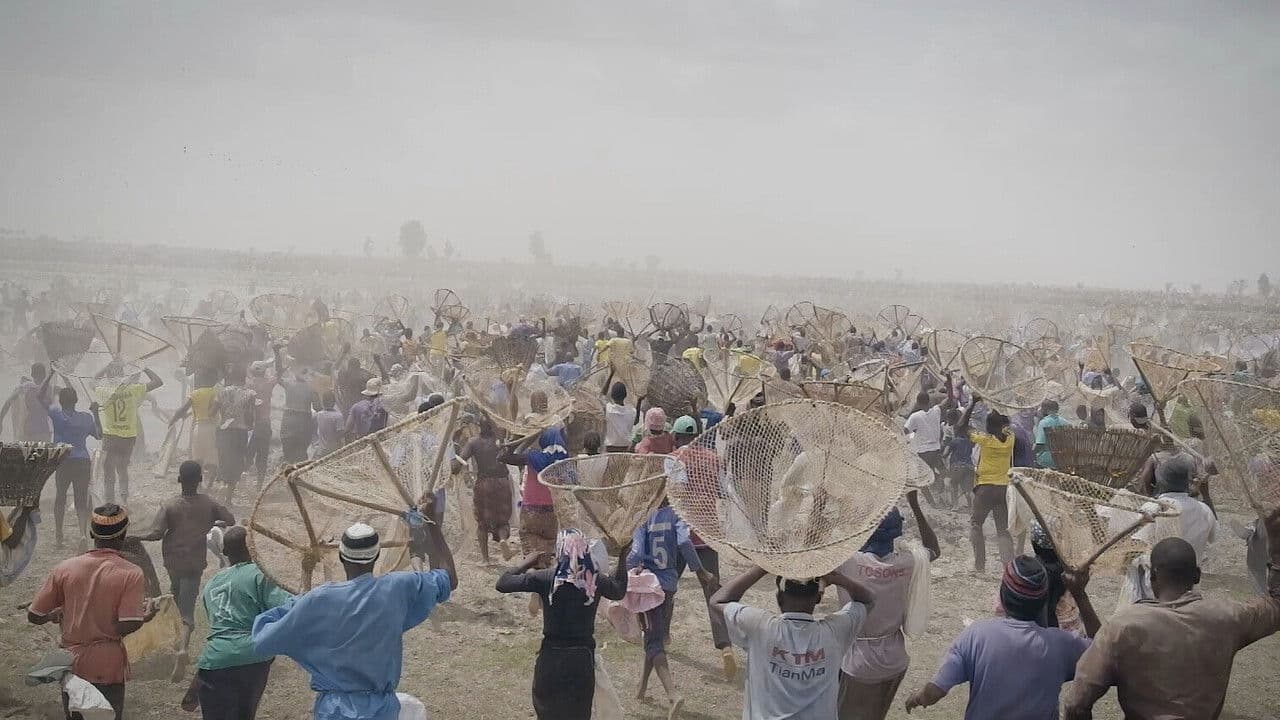 I bɔyɔrɔ, d’où viens-tu ? 