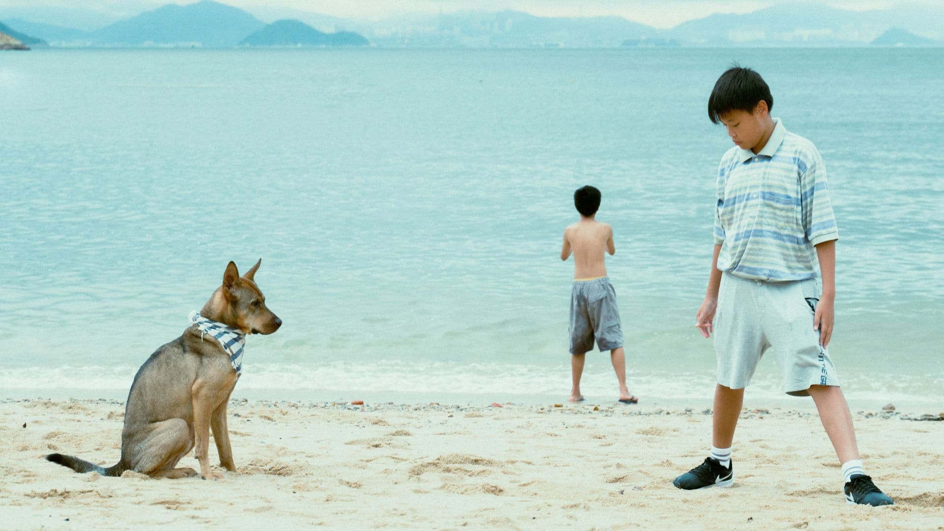 The Perks of Being Wild