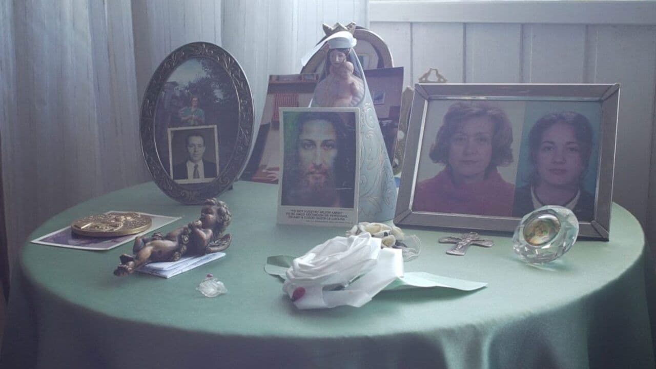 Filmei paxaros voando