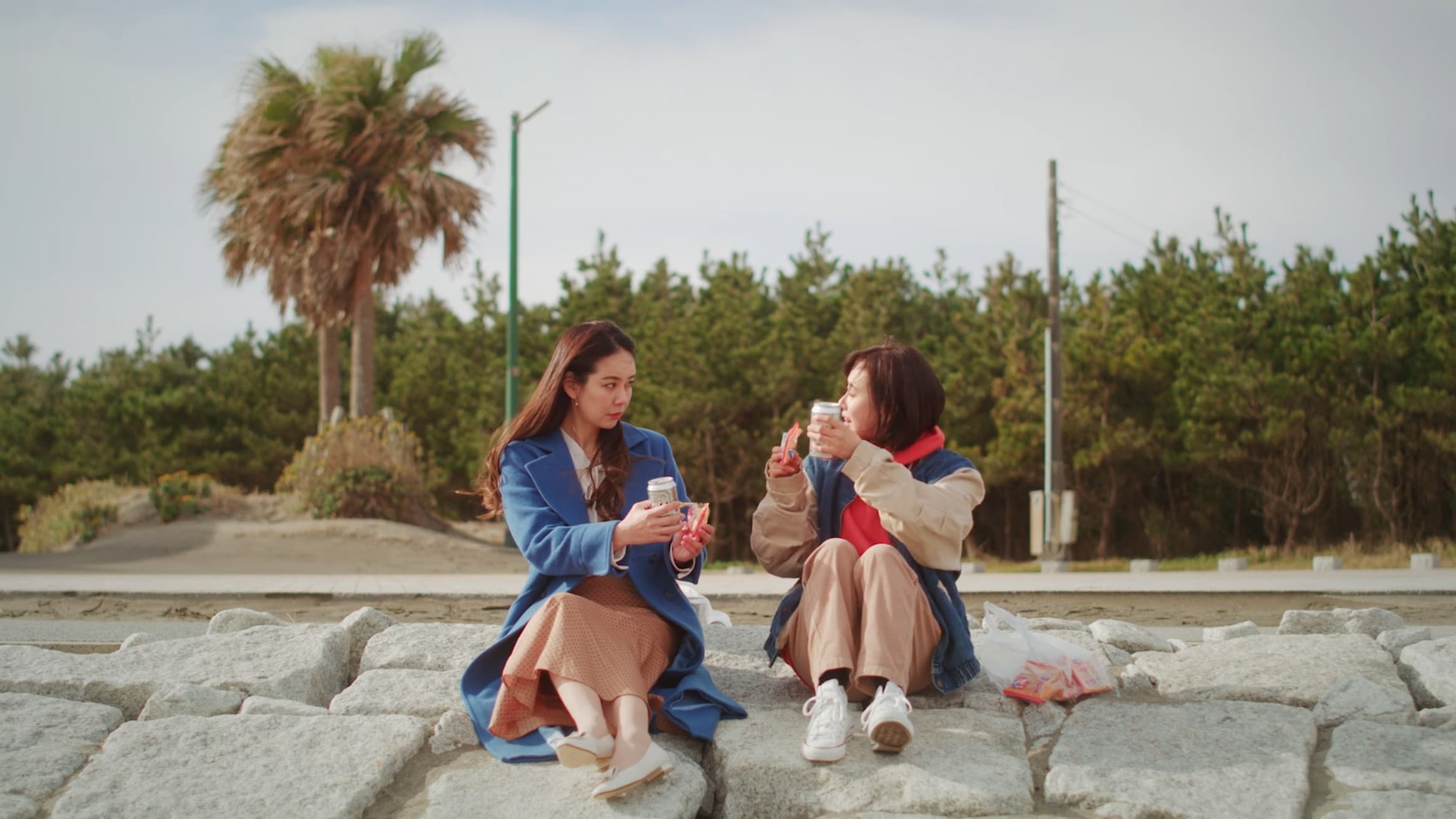 Flowers Blooming on the Shore