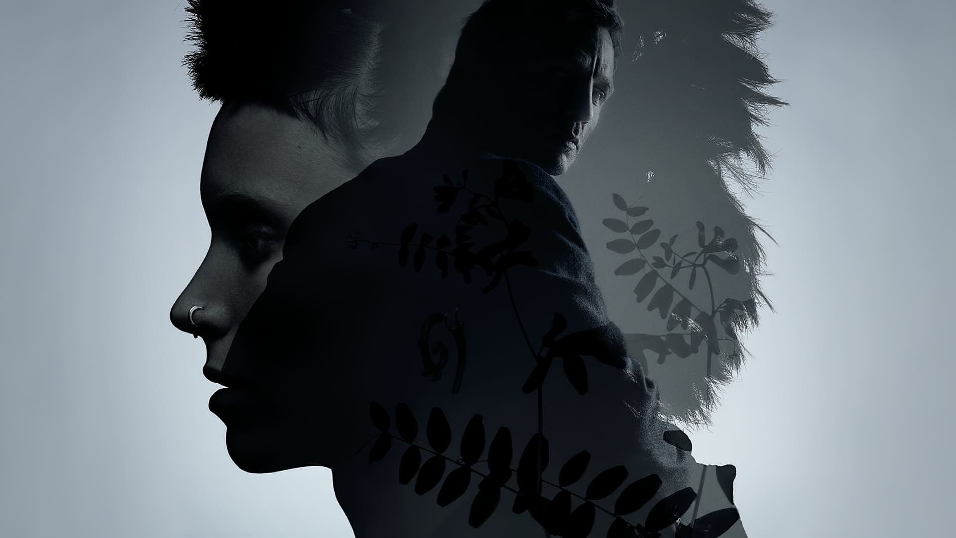 Millennium Collection