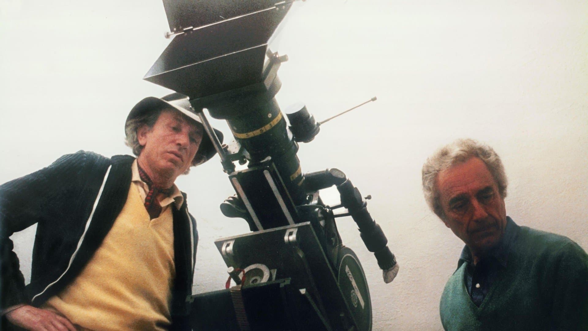 Water and Sugar – Carlo Di Palma: The Colours of Life