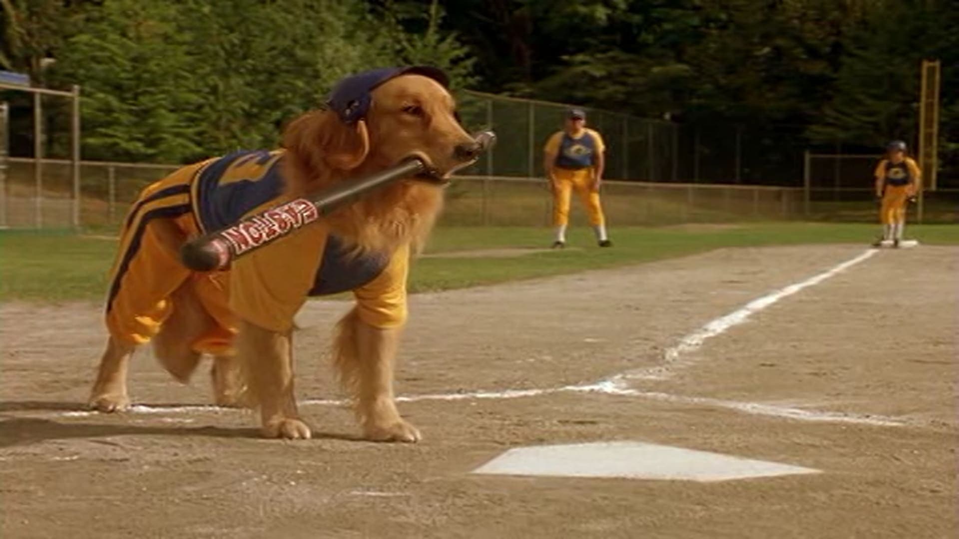 Air Bud Collection