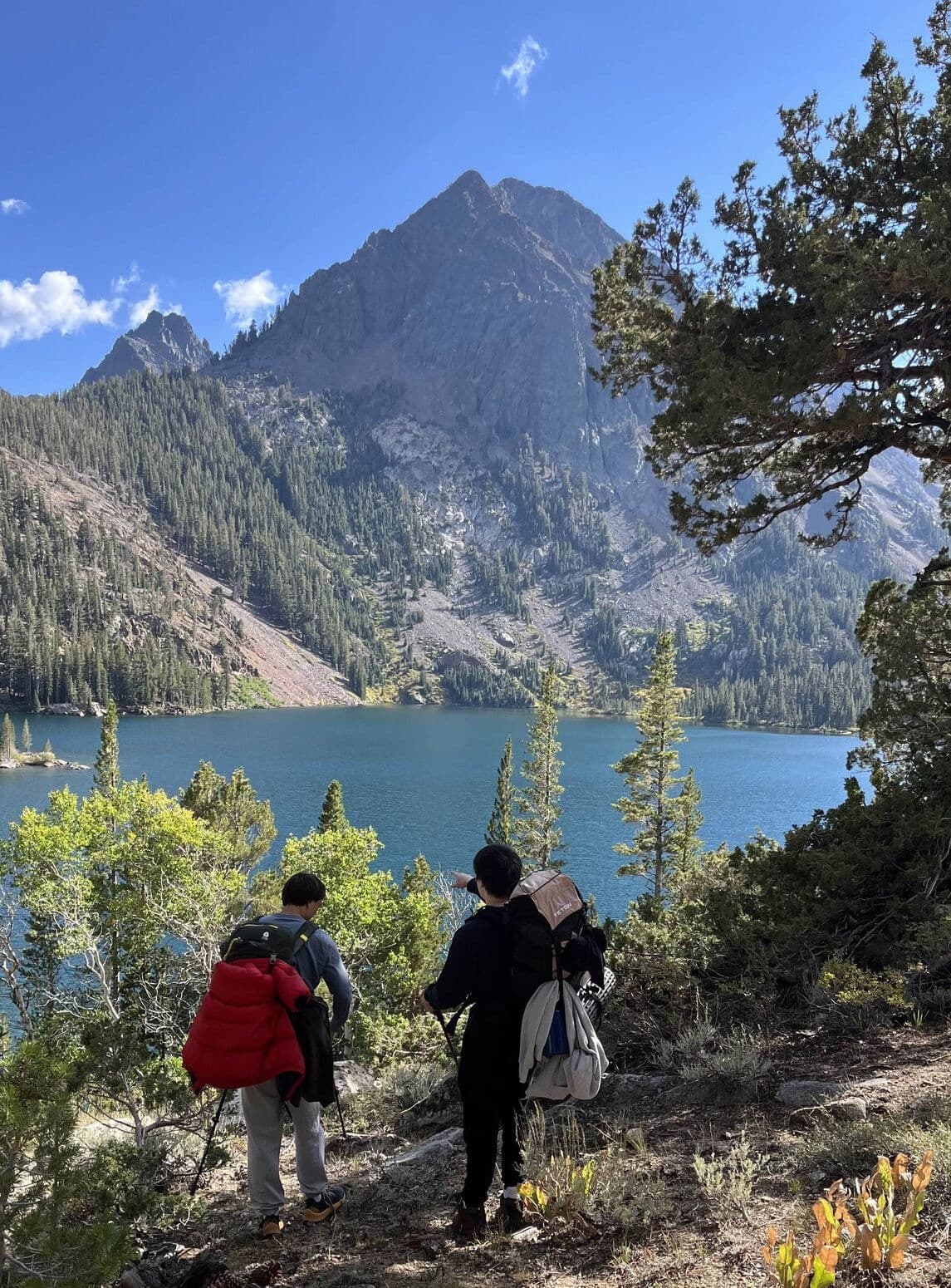 Sami and Brandon Adventures: The Docuseries Shortfilm Extravaganza