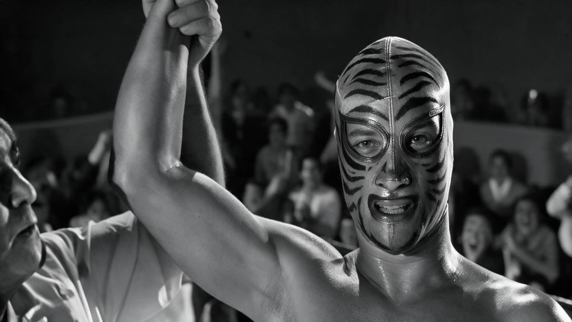 Los tigres del ring