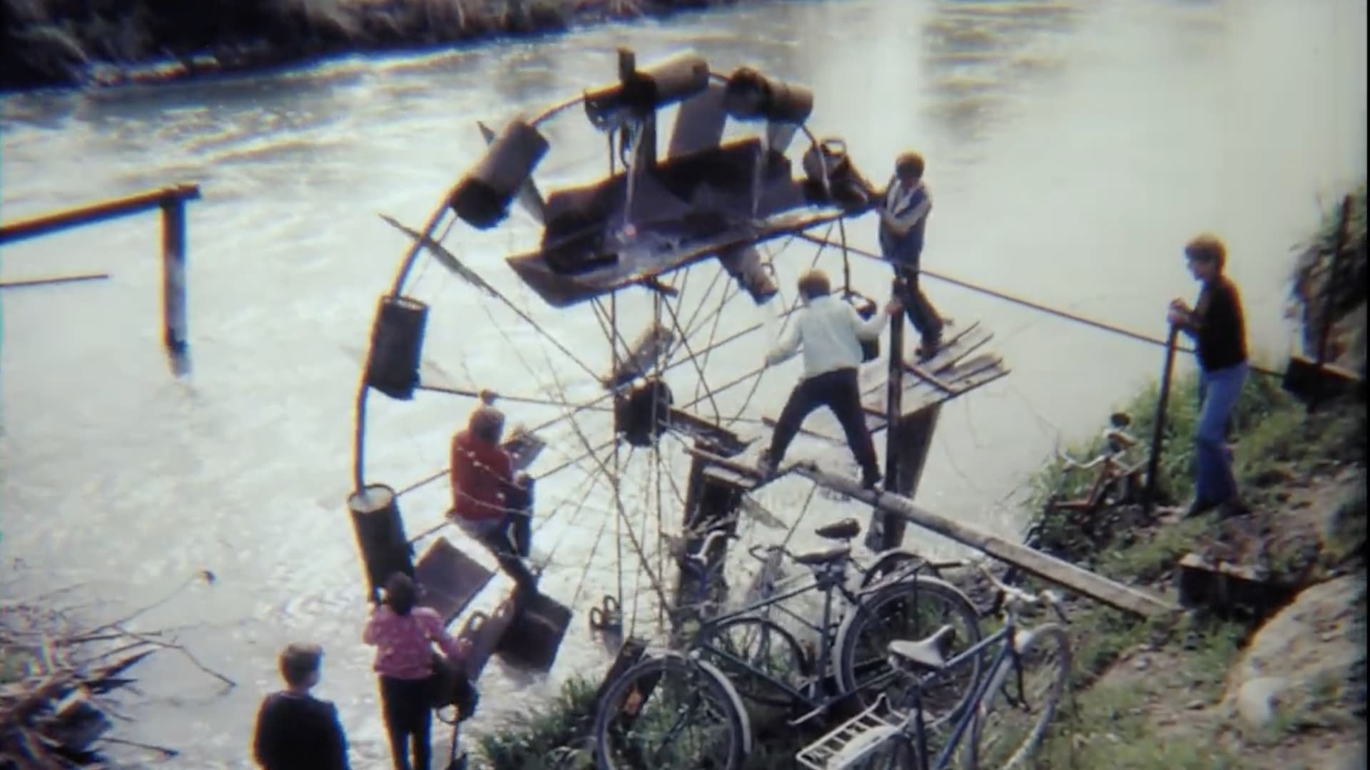 Where's Your Home, Snail?