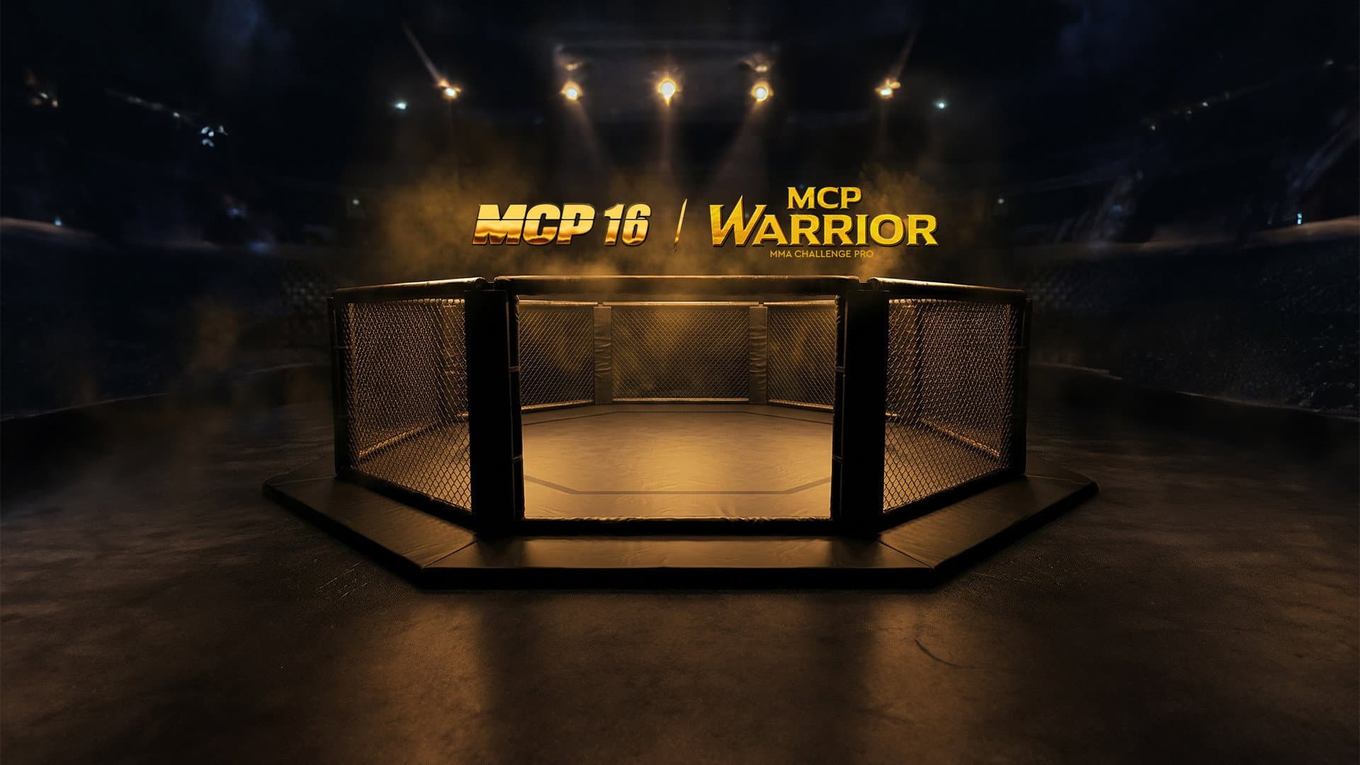 MCP 16