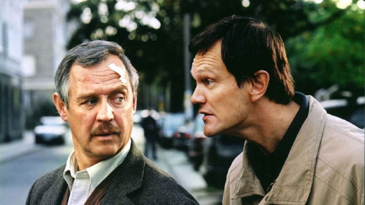 Adaś Miauczyński Collection