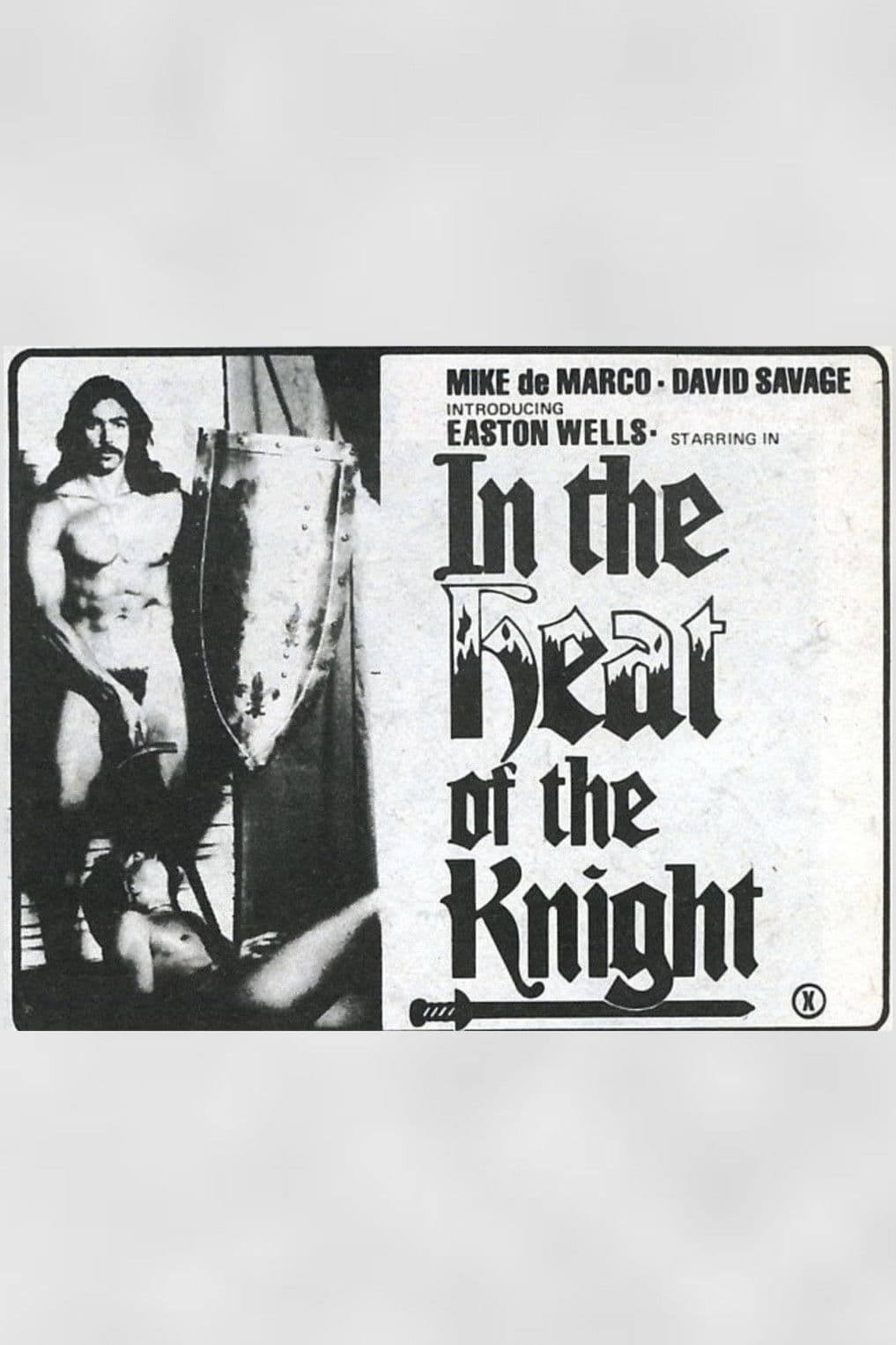 In The Heat of The Knight