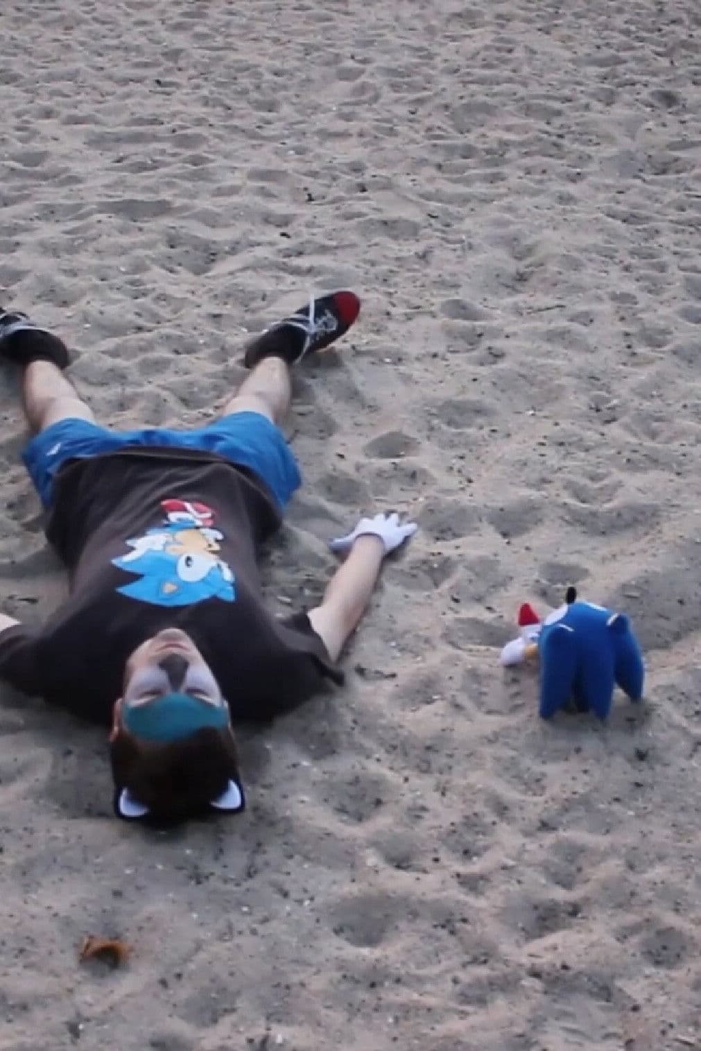 Goodnight Sonic - An Intimate Portrait Into the Subsequent Fall of A Hedgehog