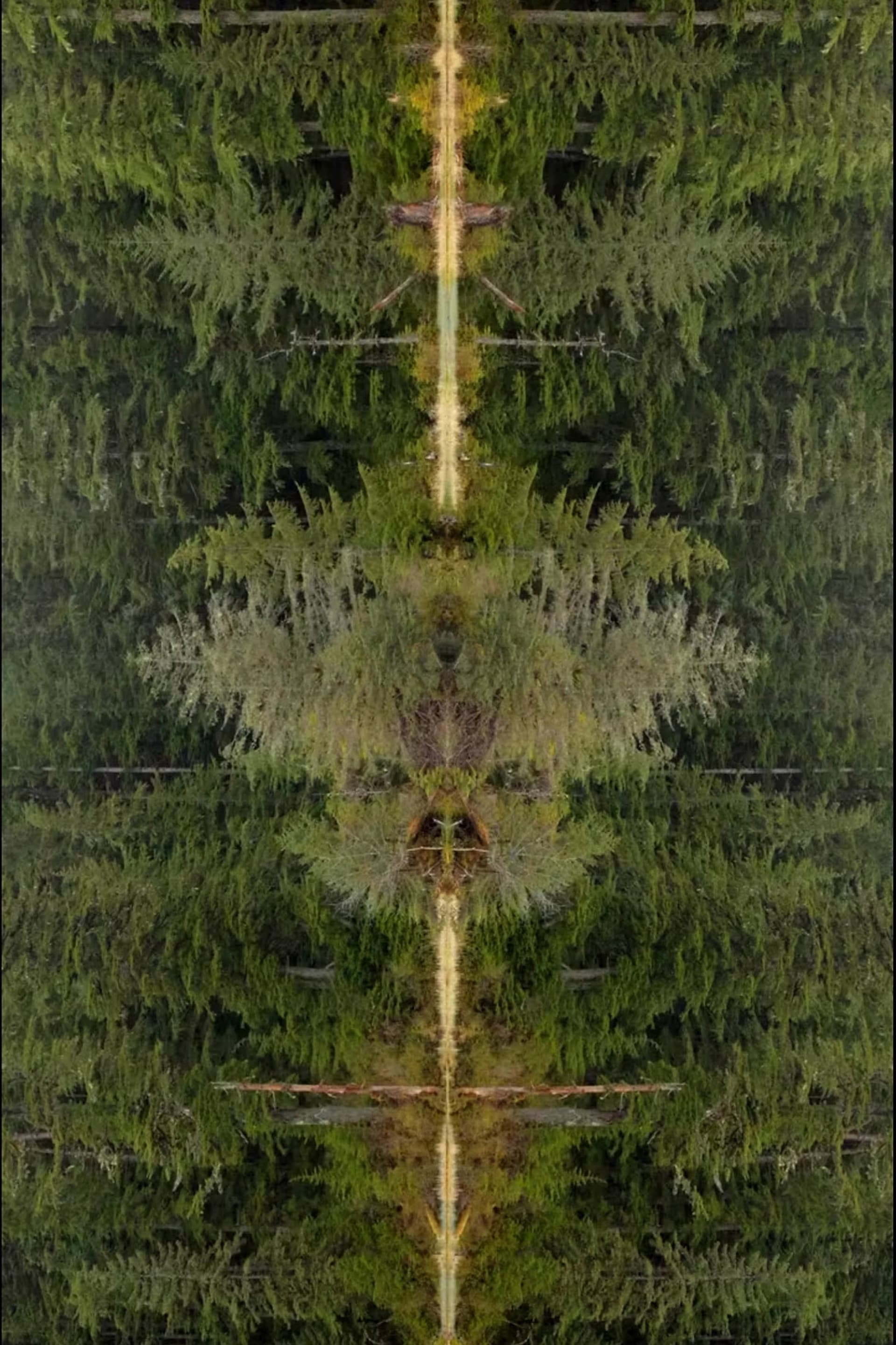 Mirrorpond