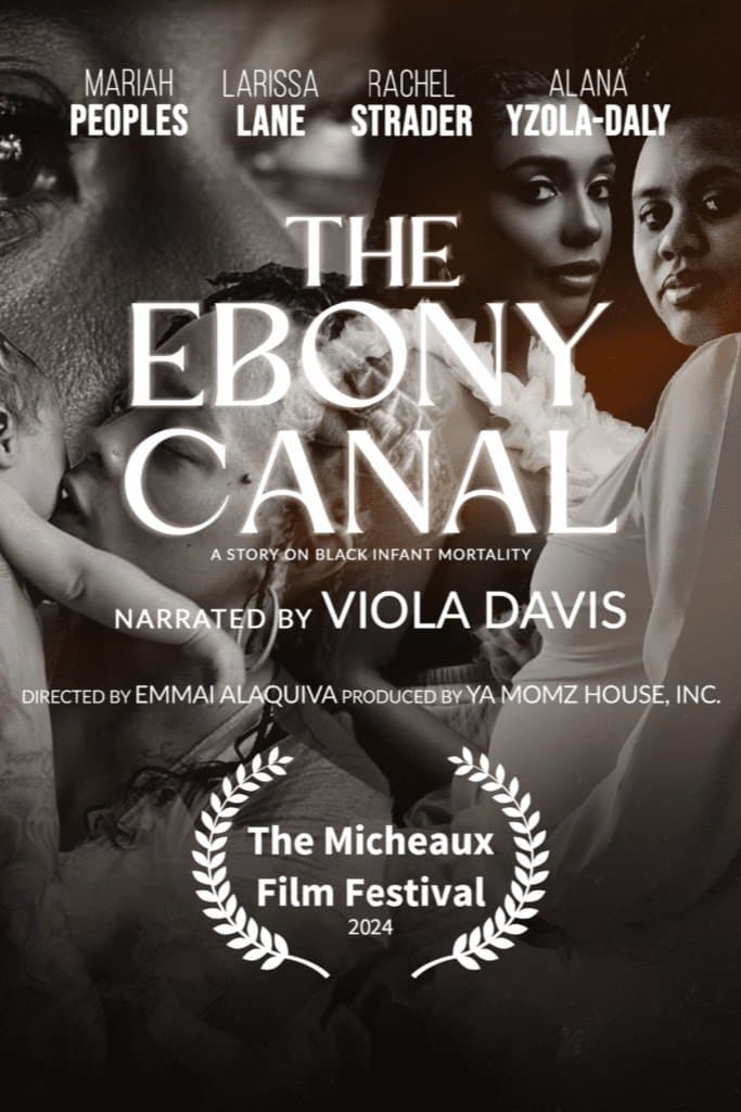 The Ebony Canal: A Story of Black Infant Mortality