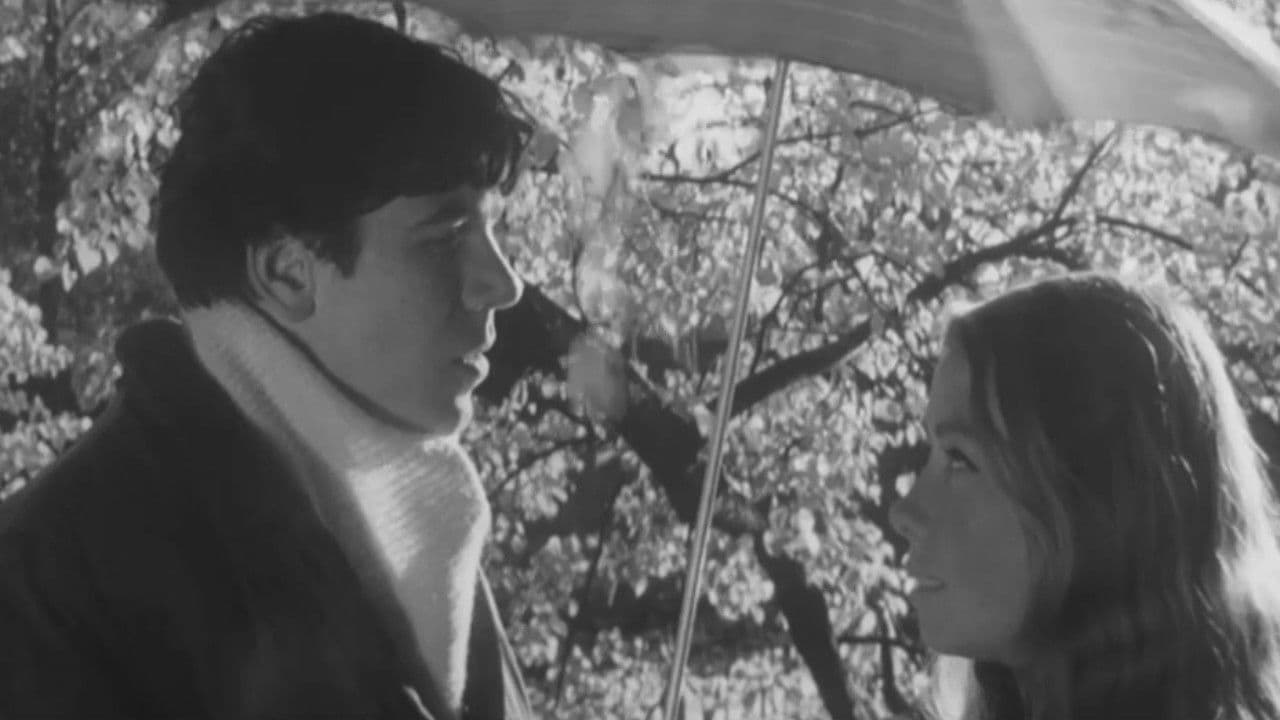 Bridegroom From Medvedkino