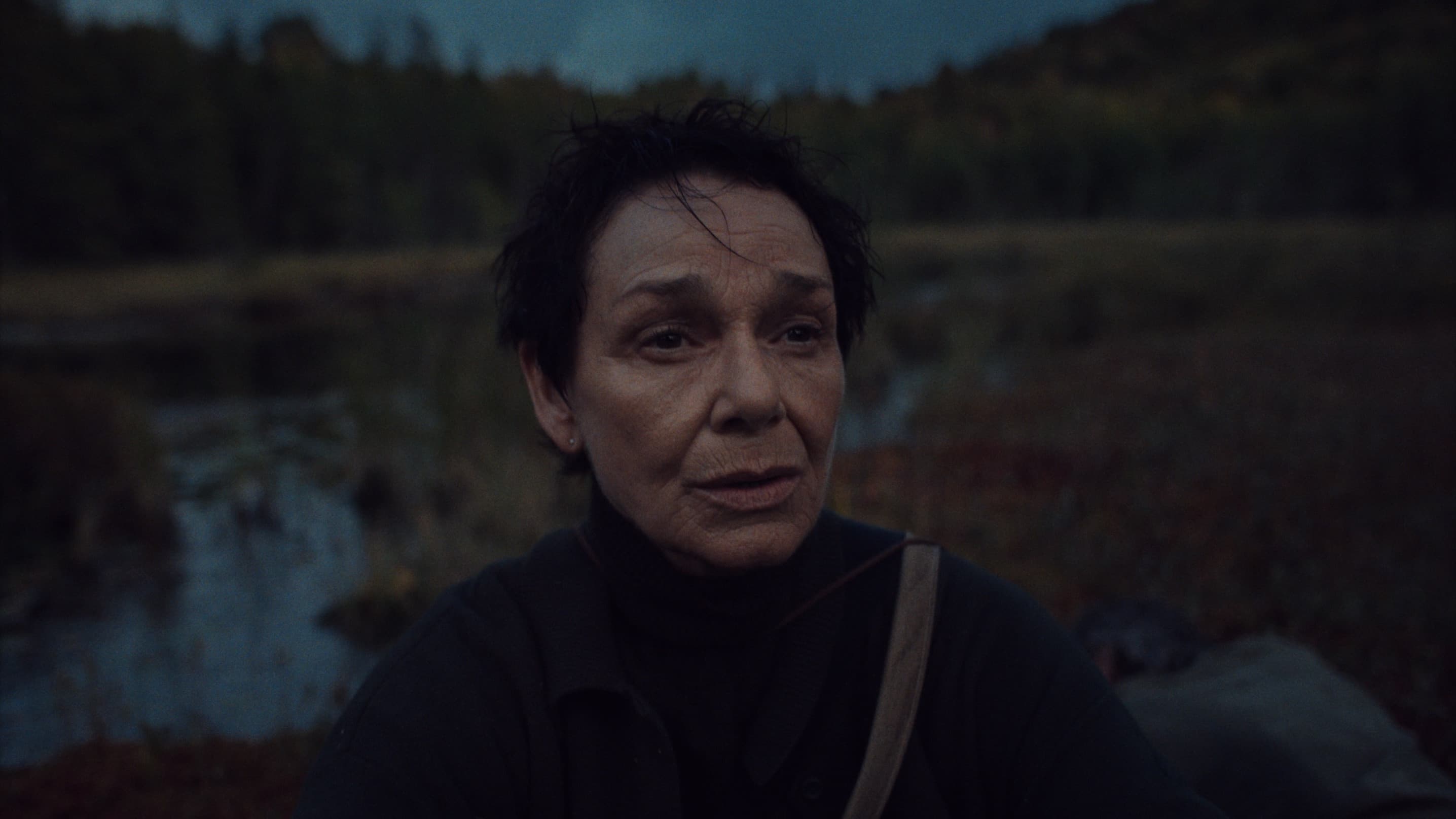 My Son Came Back to Disappear