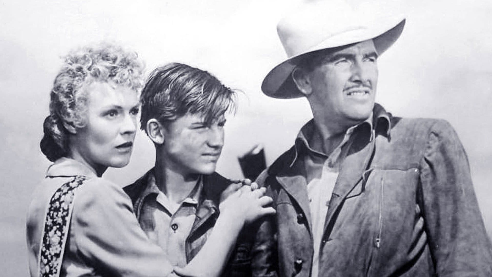 The Flicka Collection