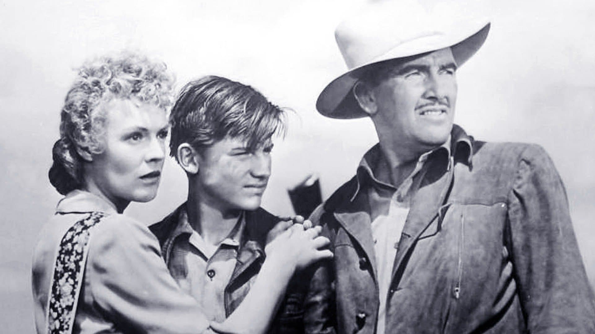 The Flicka Collection